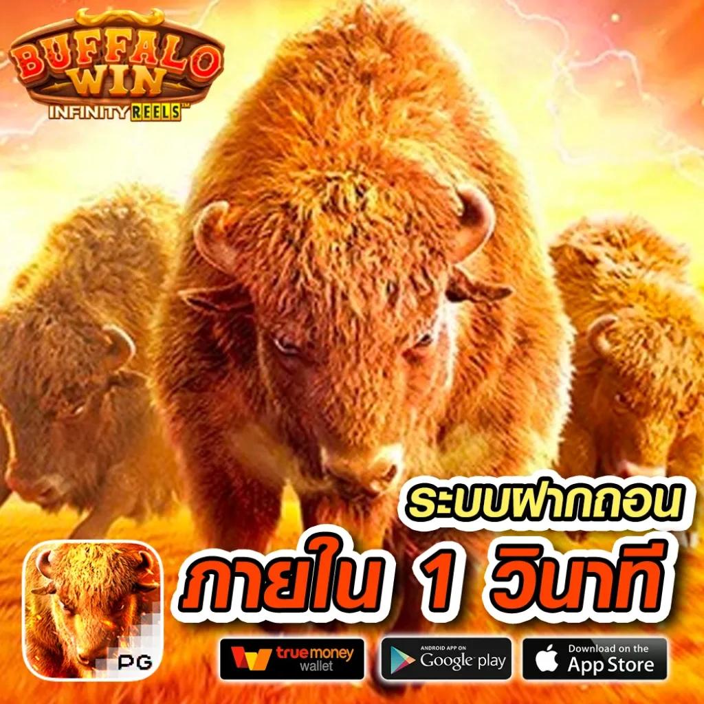 คาสิโนเบทฟลิก คาสิโนสด สล็อตออนไลน์ โบนัสแตกง่ายที่สุด