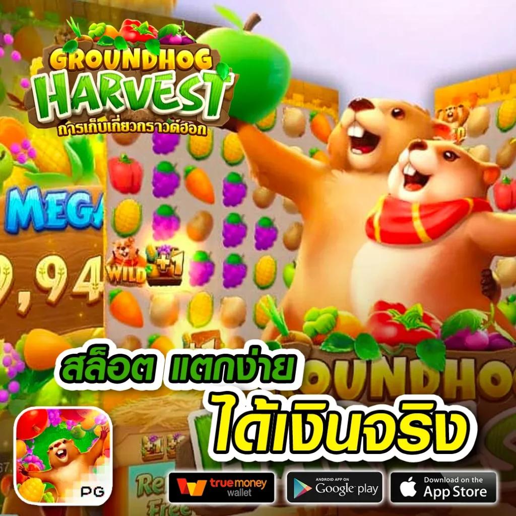 เว็บหวยออนไลน์ เชื่อถือได้ 2566 เว็บแทงหวยมั่นใจอันดับหนึ่ง